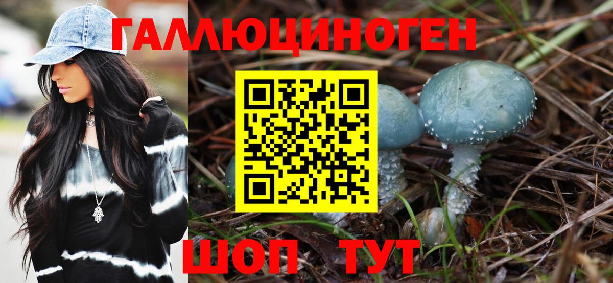 Псилоцибиновые грибы мухоморы Шумерля