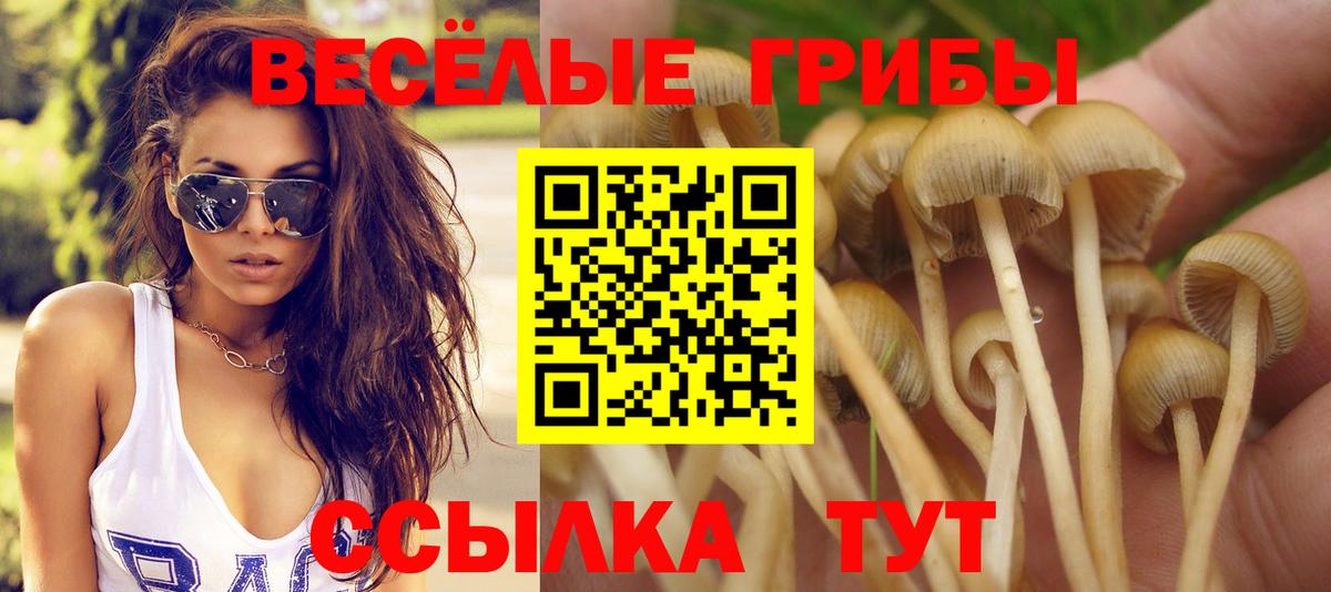 Шумерля  Галлюциногенные грибы мухоморы  Вход с VPN 
